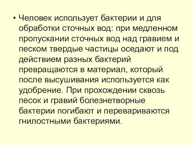 Человек использует бактерии и для обработки сточных вод: при медленном пропускании сточных