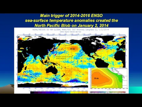 Main trigger of 2014-2016 ENSO sea-surface temperature anomalies created the North Pacific