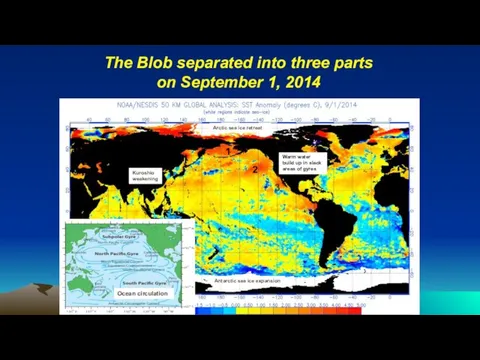 The Blob separated into three parts on September 1, 2014 1 2