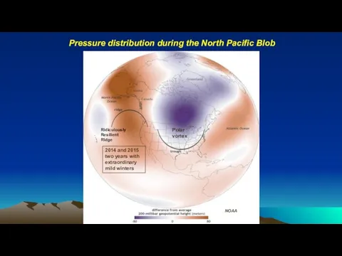 Pressure distribution during the North Pacific Blob NOAA Ridiculously Resilient Ridge 2014