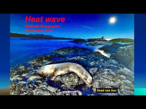 Heat wave National Geographic September 2016 Dead sea lion