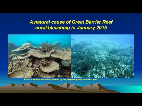 A natural cause of Great Barrier Reef coral bleaching in January 2015