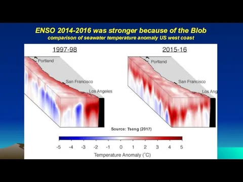 ENSO 2014-2016 was stronger because of the Blob comparison of seawater temperature