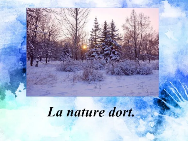 La nature dort.