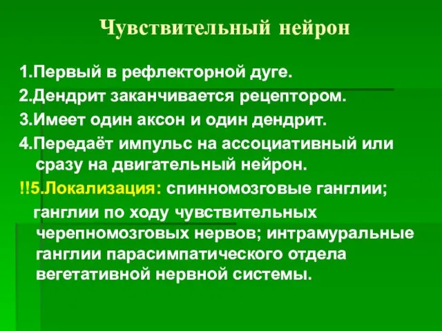 Чувствительный нейрон 1.Первый в рефлекторной дуге. 2.Дендрит заканчивается рецептором. 3.Имеет один аксон