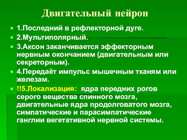 Двигательный нейрон 1.Последний в рефлекторной дуге. 2.Мультиполярный. 3.Аксон заканчивается эффекторным нервным окончанием