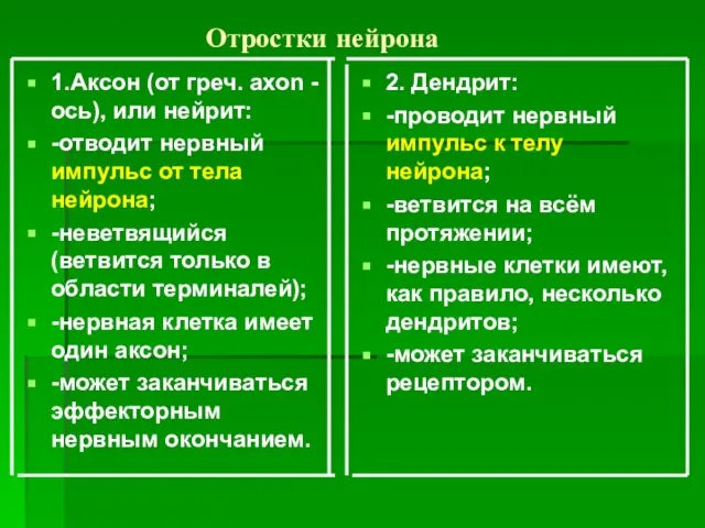 Отростки нейрона 1.Аксон (от греч. ахоn - ось), или нейрит: -отводит нервный