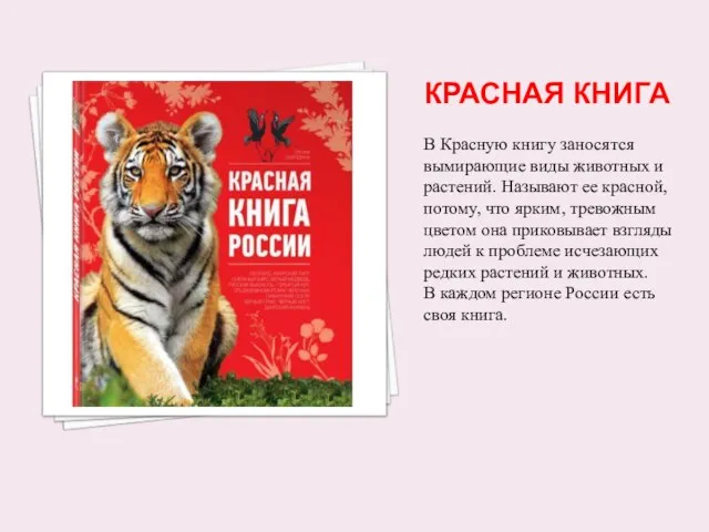 КРАСНАЯ КНИГА В Красную книгу заносятся вымирающие виды животных и растений. Называют