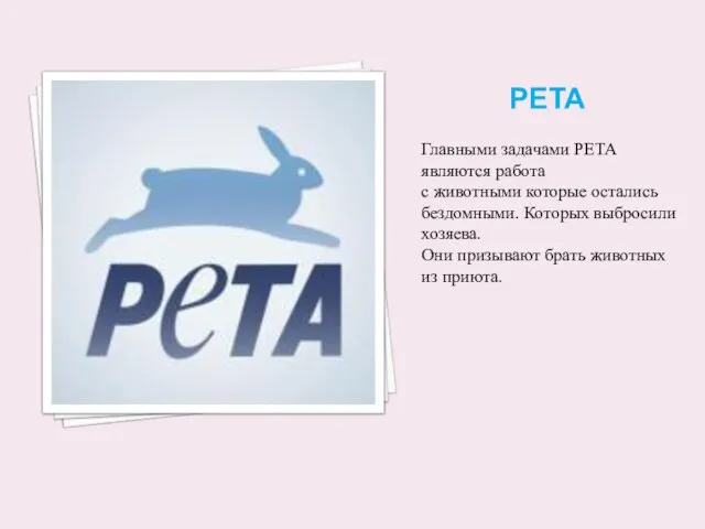 PETA Главными задачами PETA являются работа с животными которые остались бездомными. Которых