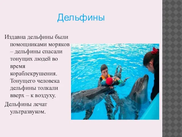 Дельфины Издавна дельфины были помощниками моряков – дельфины спасали тонущих людей во