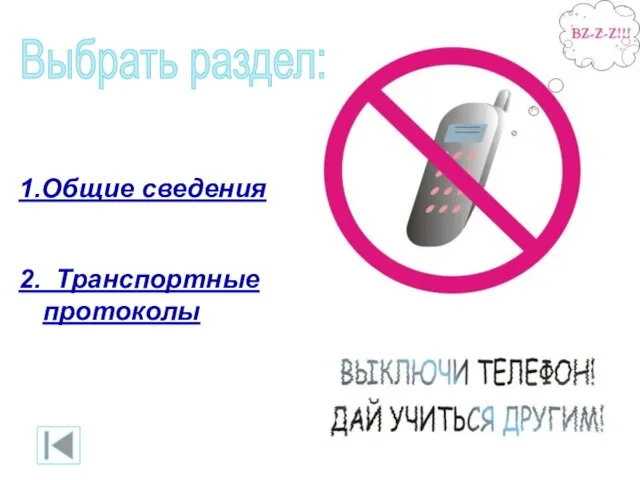 1.Общие сведения 2. Транспортные протоколы Выбрать раздел: