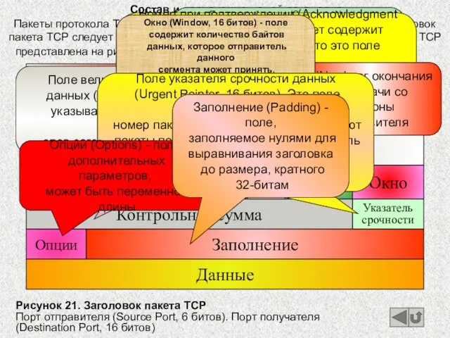 Состав и назначение полей заголовка Пакеты протокола TCP переносятся в поле “Данные”