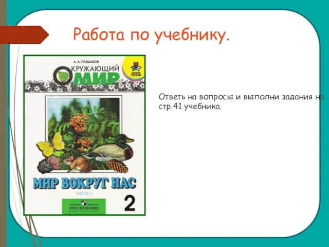 Работа по учебнику. Ответь на вопросы и выполни задания на стр.41 учебника.