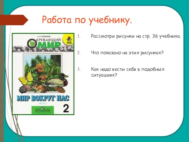 Работа по учебнику. Рассмотри рисунки на стр. 36 учебника. Что показано на