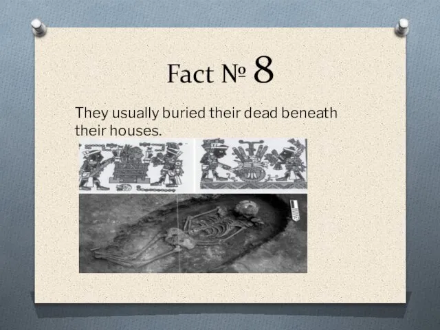 Fact № 8 They usually buried their dead beneath their houses. .