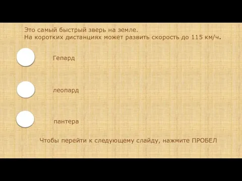 Это самый быстрый зверь на земле. На коротких дистанциях может развить скорость