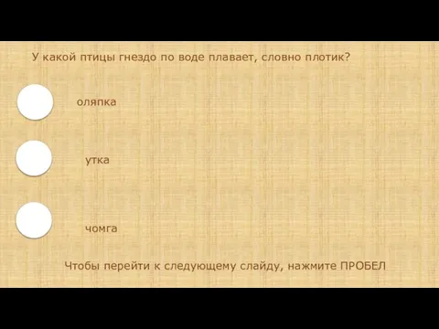 У какой птицы гнездо по воде плавает, словно плотик? оляпка утка чомга