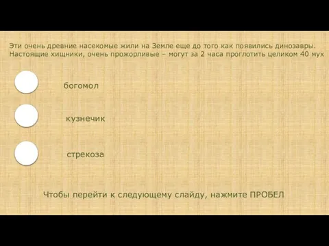 Эти очень древние насекомые жили на Земле еще до того как появились