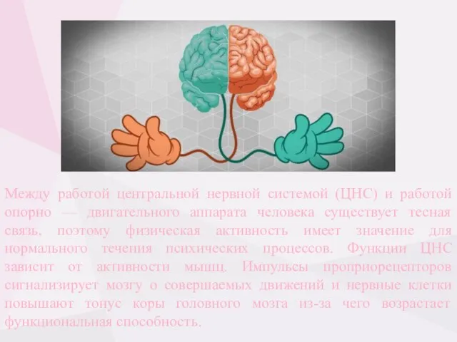 Между работой центральной нервной системой (ЦНС) и работой опорно — двигательного аппарата