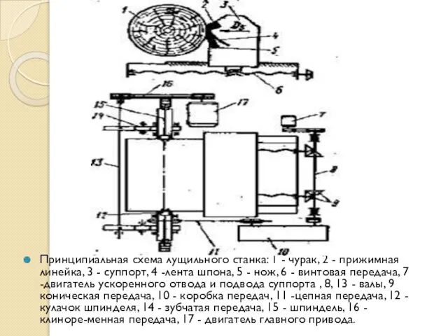 Принципиальная схема лущильного станка: 1 - чурак, 2 - прижимная линейка, 3