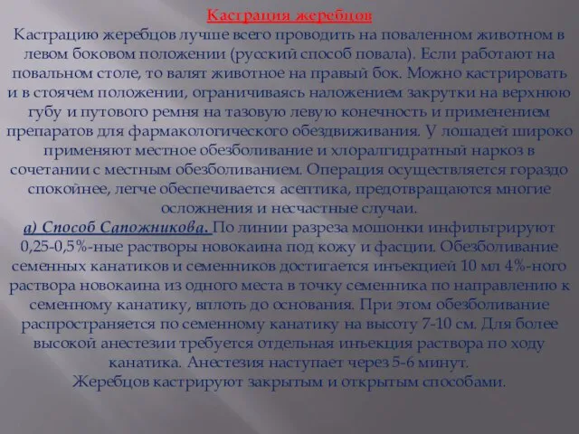 Кастрация жеребцов Кастрацию жеребцов лучше всего проводить на поваленном животном в левом