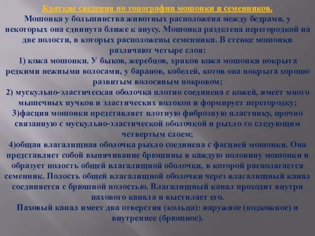 Краткие сведения по топографии мошонки и семенников. Мошонка у большинства животных расположена