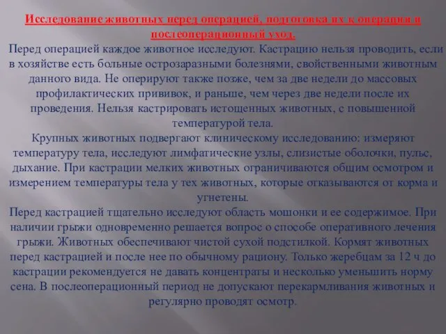 Исследование животных перед операцией, подготовка их к операции и послеоперационный уход. Перед