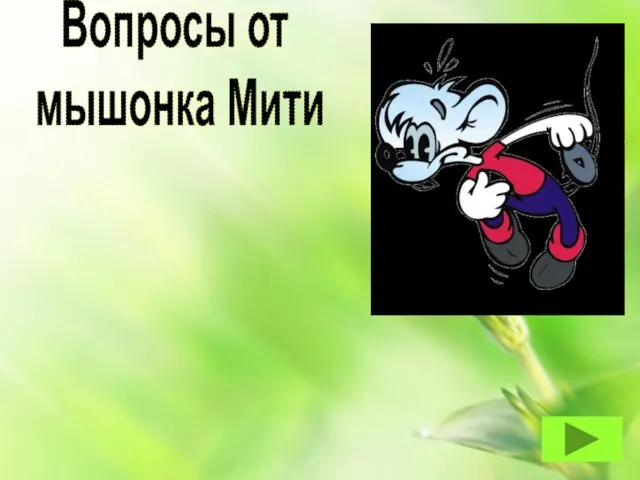 Вопросы от мышонка Мити