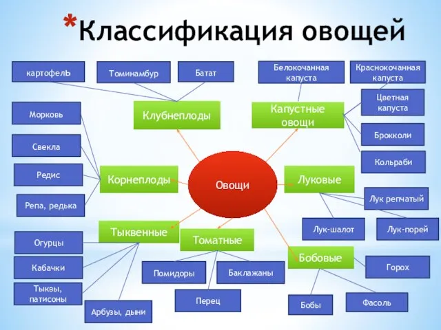 Классификация овощей Корнеплоды Клубнеплоды Овощи картофель Томинамбур Батат Морковь Свекла Редис Репа,