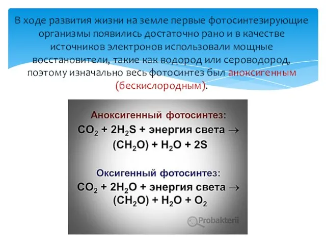 В ходе развития жизни на земле первые фотосинтезирующие организмы появились достаточно рано