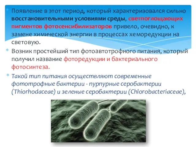 Появление в этот период, который характеризовался сильно восстановительными условиями среды, светпоглощающих пигментов