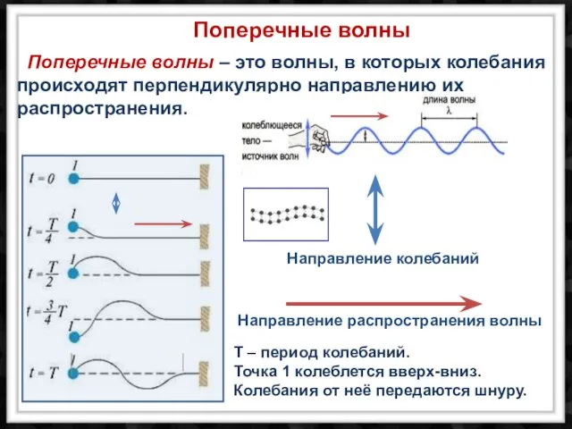 T – период колебаний. Точка 1 колеблется вверх-вниз. Колебания от неё передаются