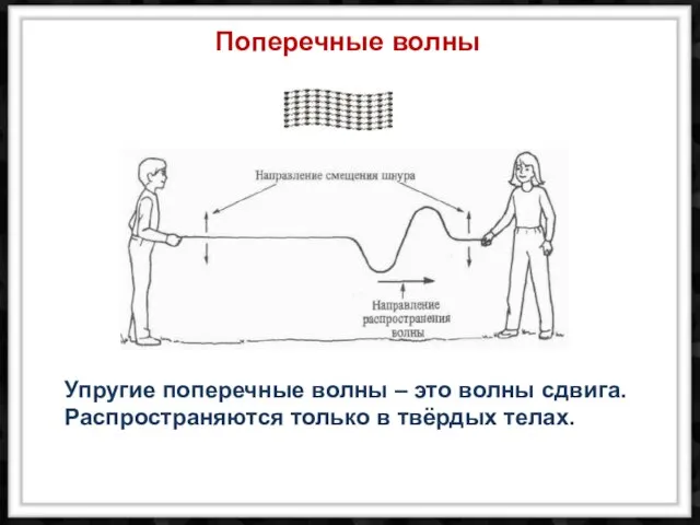 Упругие поперечные волны – это волны сдвига. Распространяются только в твёрдых телах. Поперечные волны