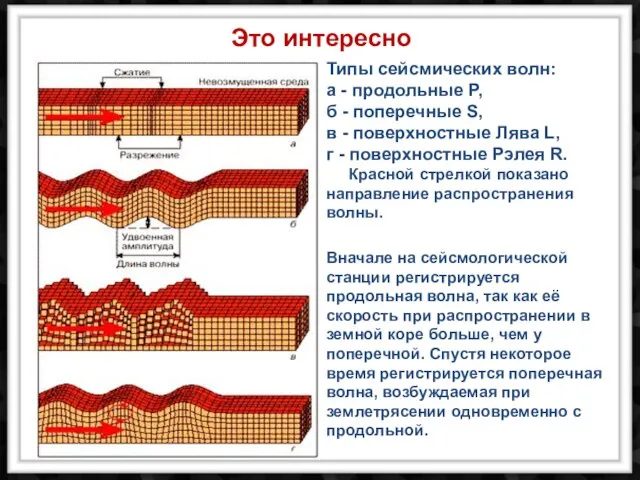 Типы сейсмических волн: а - продольные Р, б - поперечные S, в