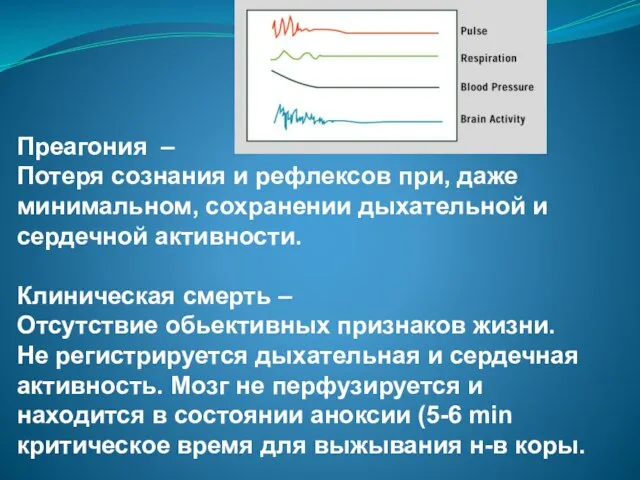 Преагония – Потеря сознания и рефлексов при, даже минимальном, сохранении дыхательной и