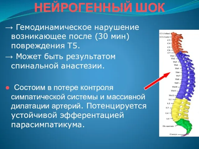 НЕЙРОГЕННЫЙ ШОК → Гемодинамическое нарушение возникающее после (30 мин) повреждения T5. →