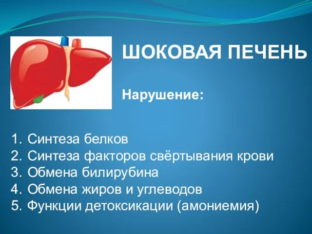 ШОКОВАЯ ПЕЧЕНЬ Нарушение: Синтеза белков Синтеза факторов свёртывания крови Обмена билирубина Обмена