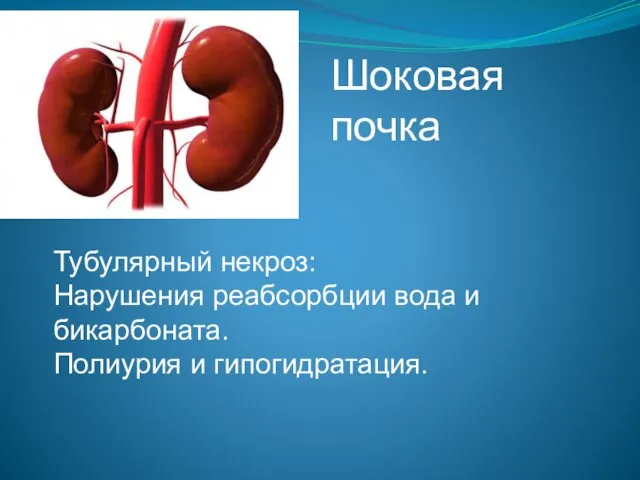 Шоковая почка Тубулярный некроз: Нарушения реабсорбции вода и бикарбоната. Полиурия и гипогидратация.