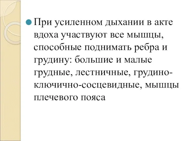 При усиленном дыхании в акте вдоха участвуют все мышцы, способные поднимать ребра