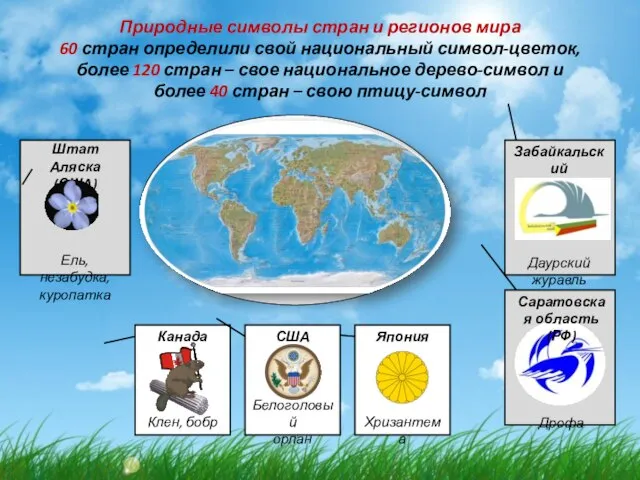 Природные символы стран и регионов мира 60 стран определили свой национальный символ-цветок,