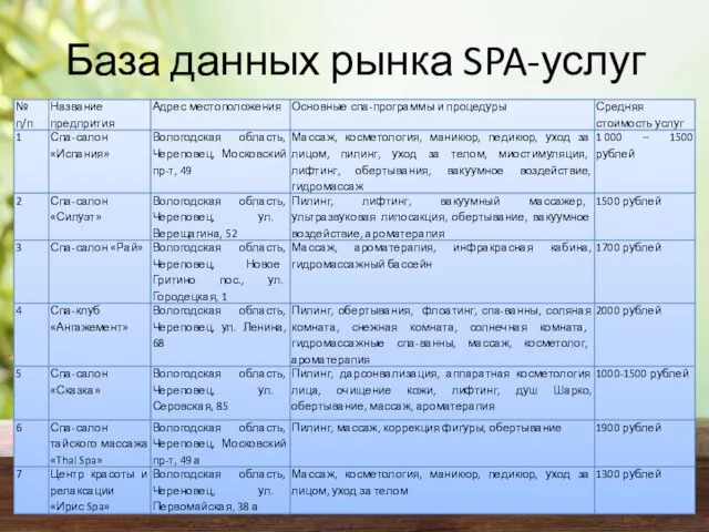 База данных рынка SPA-услуг