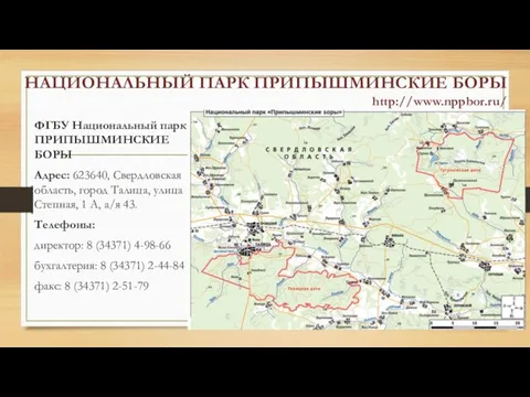 НАЦИОНАЛЬНЫЙ ПАРК ПРИПЫШМИНСКИЕ БОРЫ http://www.nppbor.ru/ ФГБУ Национальный парк ПРИПЫШМИНСКИЕ БОРЫ Адрес: 623640,
