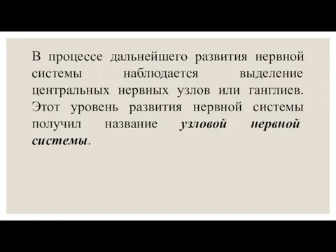 В процессе дальнейшего развития нервной системы наблюдается выделение центральных нервных узлов или