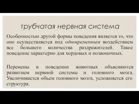 трубчатая нервная система Особенностью другой формы поведения является то, что оно осуществляется