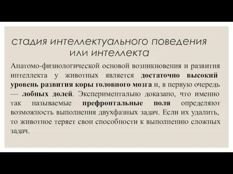 стадия интеллектуального поведения или интеллекта Анатомо-физиологической основой возникновения и развития интеллекта у