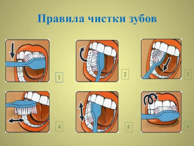 Правила чистки зубов 1 2 3 4 5 6