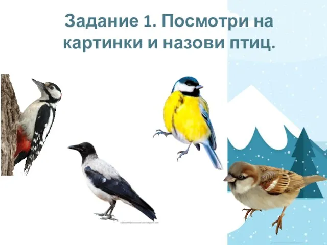 Задание 1. Посмотри на картинки и назови птиц.