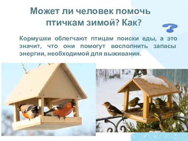 Может ли человек помочь птичкам зимой? Как? Кормушки облегчают птицам поиски еды,