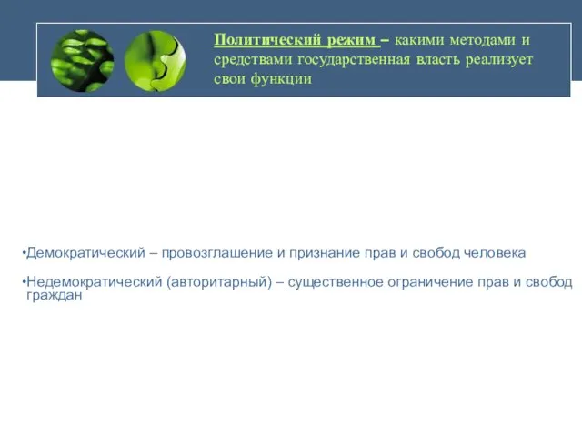 Политический режим – какими методами и средствами государственная власть реализует свои функции