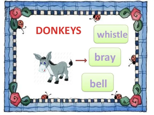 DONKEYS whistle bray bell